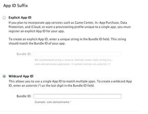 iOS軟件開發(fā) 如何調(diào)整電腦環(huán)境以適配真機(jī)測(cè)試及計(jì)算機(jī)軟件開發(fā)與維修